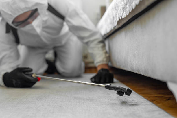 Professional Termite Control technician working in Meadowdale, WA