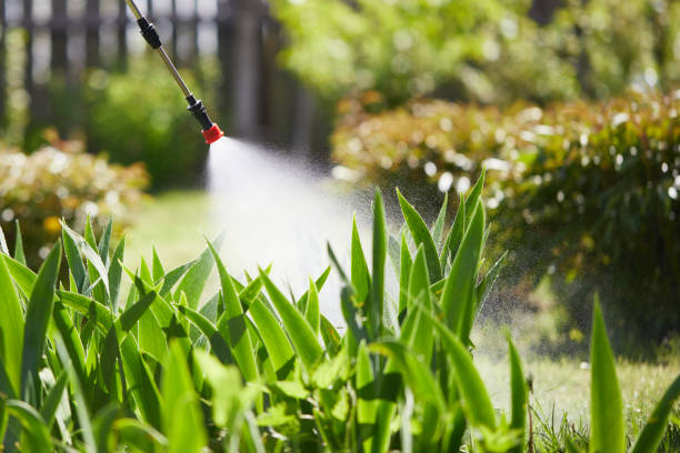 24/7 Emergency Termite Control experts in Meadowdale, WA