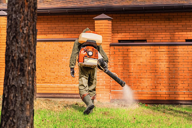 Trusted Emergency Pest Control service in Meadowdale, WA - Nex Pest Control